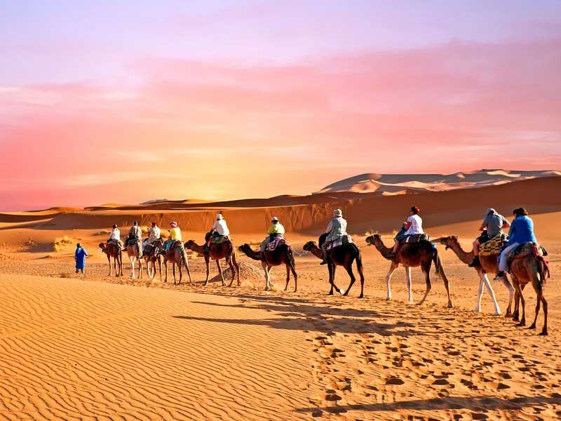 Caravane de chameaux traversant les dunes dorées lors d'un circuit désert de luxe au coucher du soleil